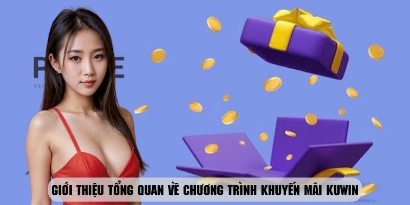 Tìm hiểu sơ lược về chương trình khuyến mãi Kuwin cực hấp dẫn